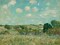 Meadow, 1875 Poster Print by Alfred Sisely - Item # VARPDX459385